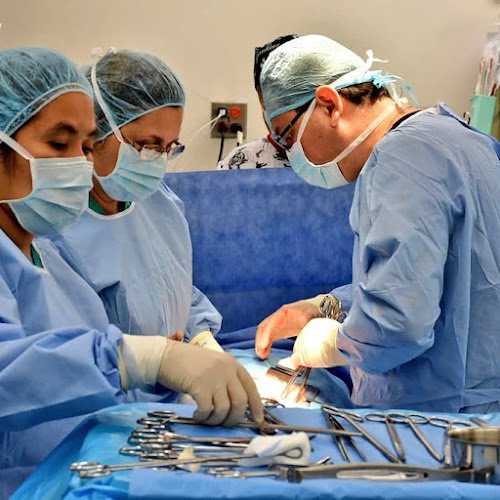 Dr. Alfredo Beitia